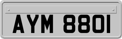 AYM8801