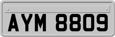AYM8809