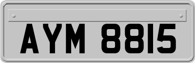 AYM8815