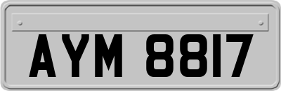 AYM8817