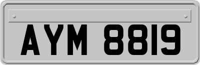 AYM8819