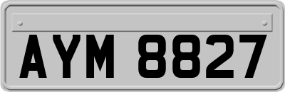 AYM8827