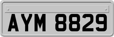 AYM8829