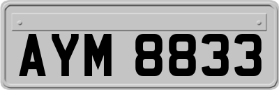 AYM8833