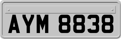 AYM8838