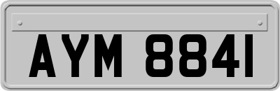 AYM8841