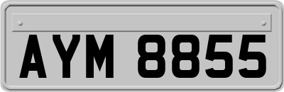 AYM8855