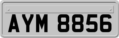 AYM8856