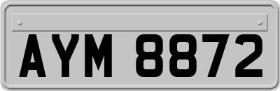 AYM8872