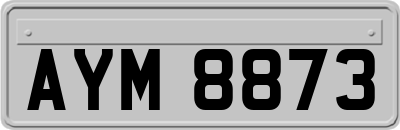 AYM8873