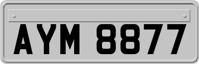 AYM8877