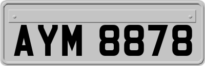 AYM8878