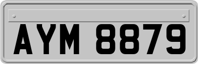 AYM8879