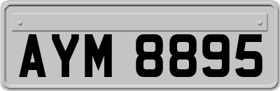 AYM8895