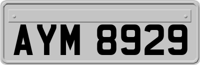 AYM8929