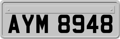 AYM8948