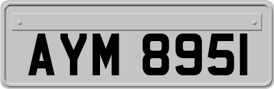 AYM8951
