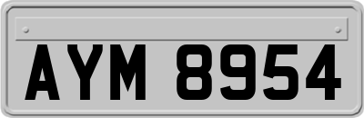 AYM8954