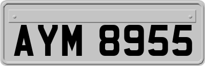 AYM8955