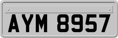 AYM8957