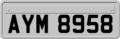 AYM8958