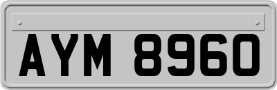 AYM8960