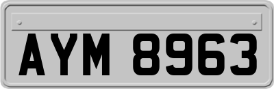 AYM8963