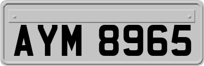 AYM8965