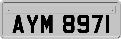 AYM8971