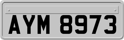 AYM8973