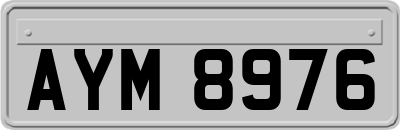 AYM8976