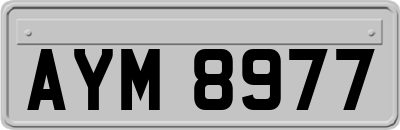 AYM8977