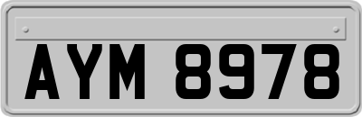 AYM8978