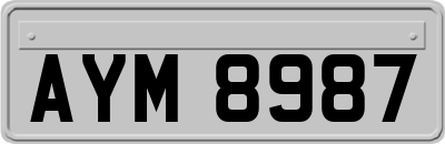 AYM8987