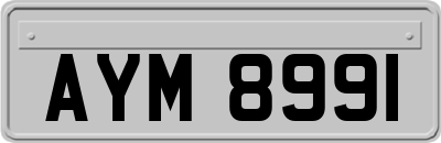 AYM8991
