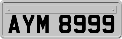 AYM8999