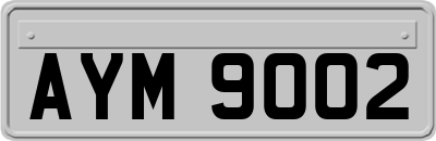 AYM9002