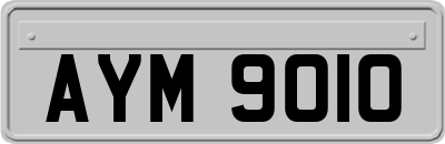 AYM9010
