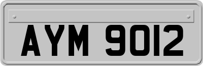 AYM9012
