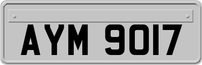 AYM9017