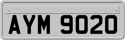 AYM9020