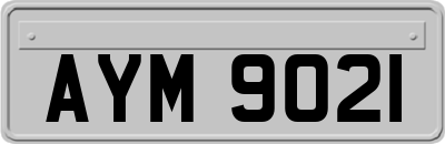 AYM9021