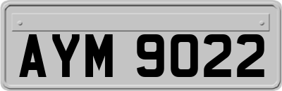 AYM9022