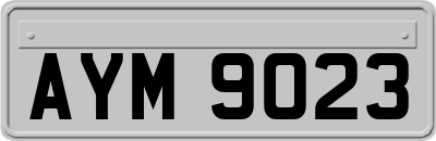 AYM9023