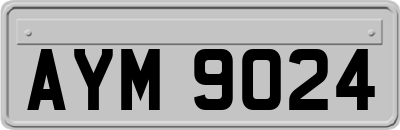 AYM9024
