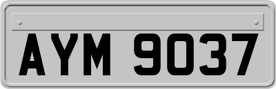 AYM9037