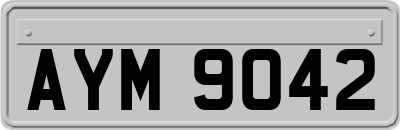 AYM9042