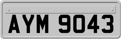 AYM9043