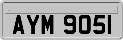 AYM9051