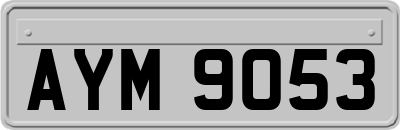 AYM9053